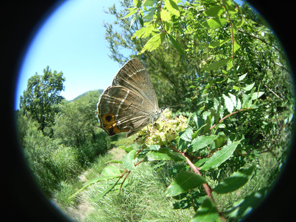 c0049095_20402274.jpg
