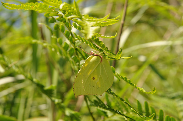 c0049095_2040411.jpg