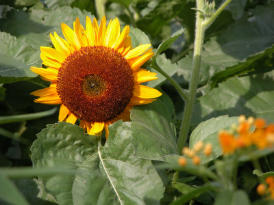 f0201297_10412150.jpg