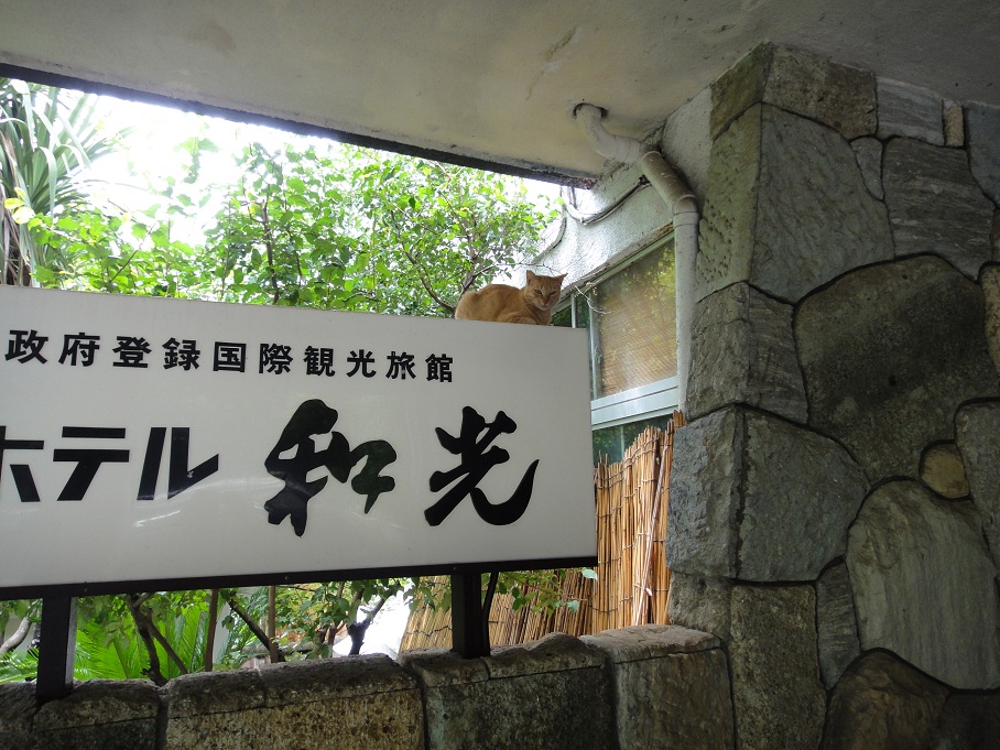 b0092300_2340674.jpg