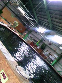 f0009509_1549082.jpg