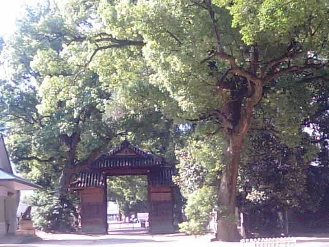 f0231709_7464893.jpg