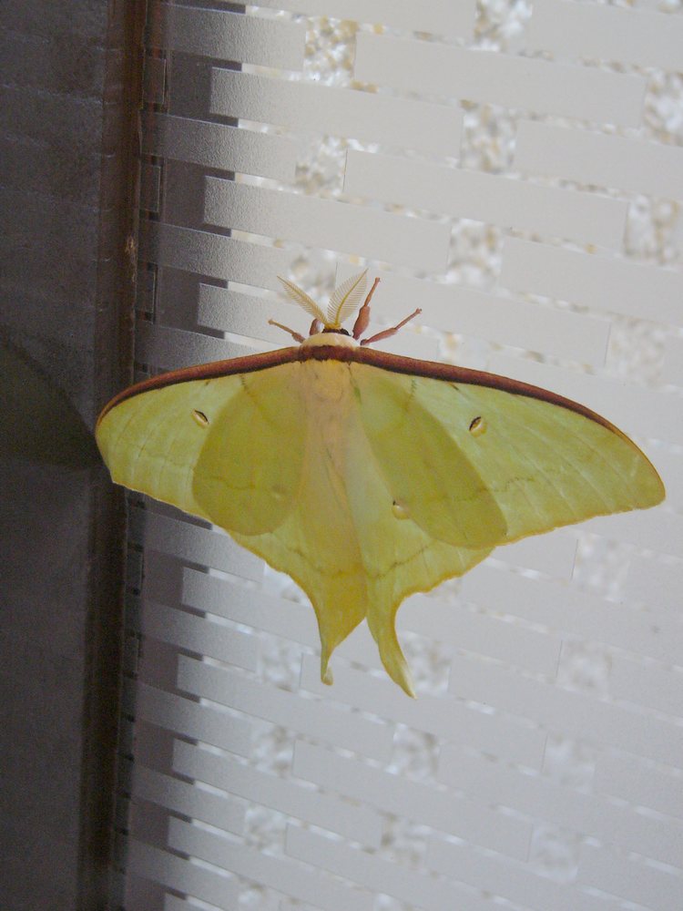 c0062511_21252091.jpg