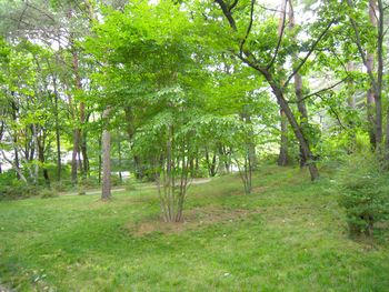 c0162212_1752122.jpg