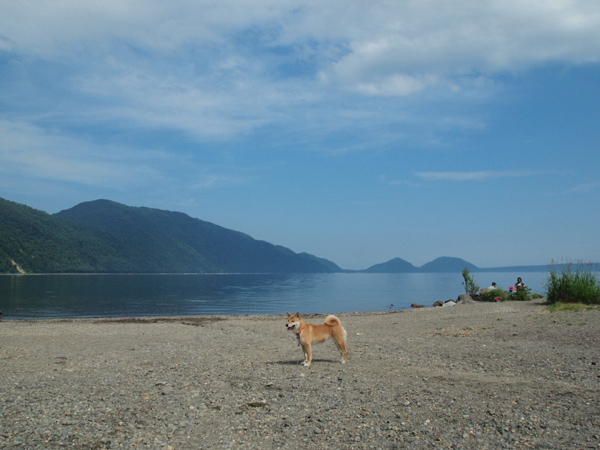 e0233220_2153586.jpg