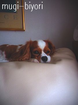 f0214121_2054838.jpg