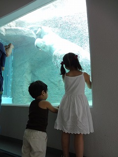 f0011322_10572042.jpg
