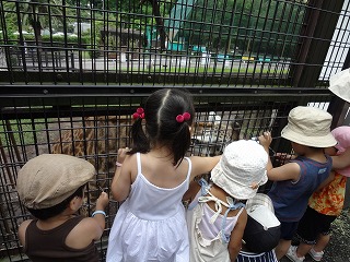 f0011322_1124444.jpg