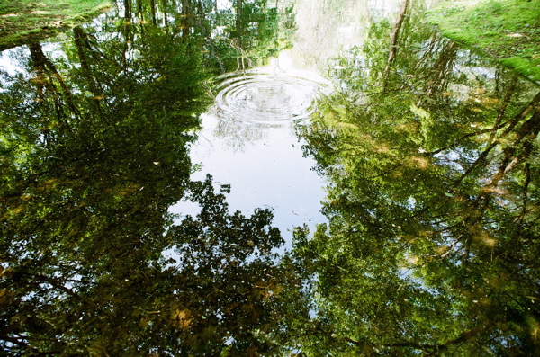 f0182924_192117.jpg