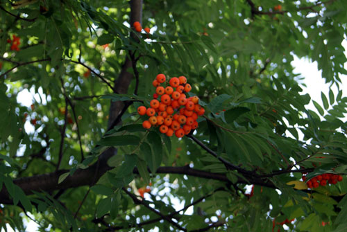c0184125_21275142.jpg