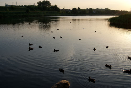 c0184125_21381932.jpg