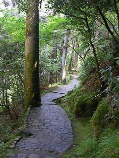 e0107725_21272933.jpg