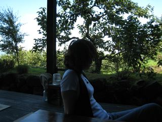 d0159829_11355577.jpg