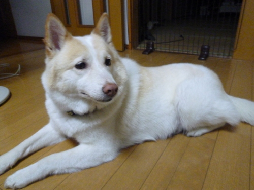 b0138430_20111714.jpg