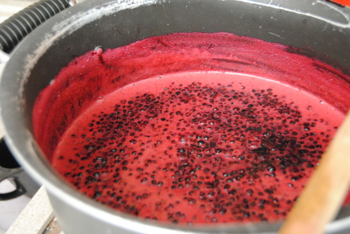 e0203331_2452056.jpg