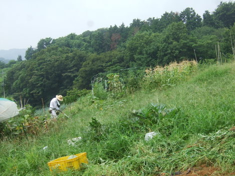 b0137932_18121728.jpg