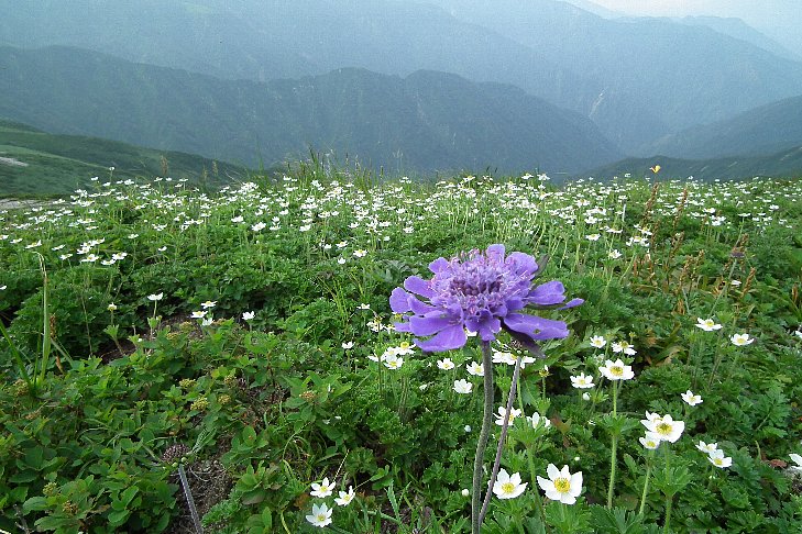f0118332_23572182.jpg