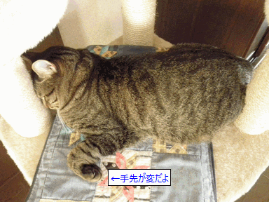c0136736_995980.gif