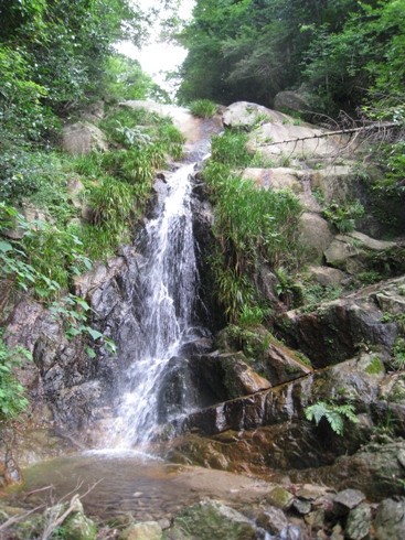 c0077338_5482630.jpg