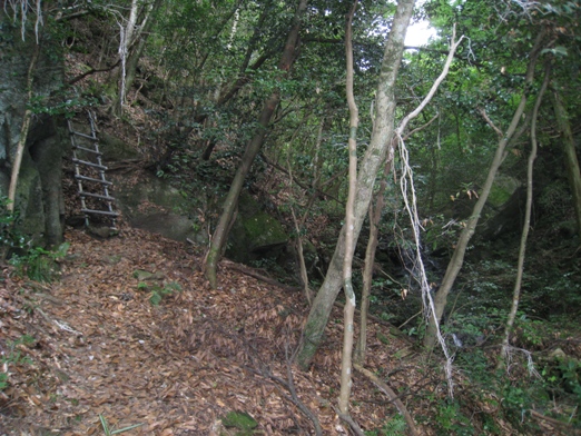 c0077338_548441.jpg