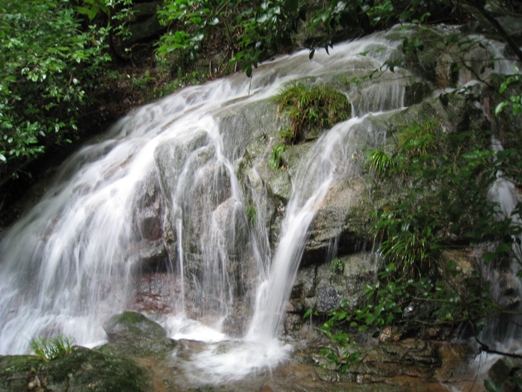 c0077338_5522523.jpg