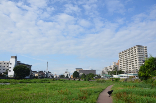 d0156438_12115097.jpg