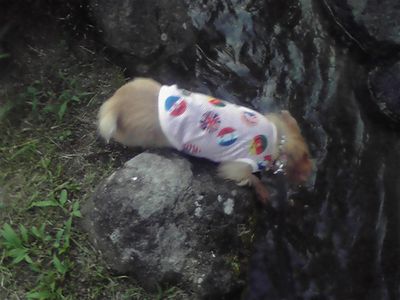 c0211540_2136423.jpg