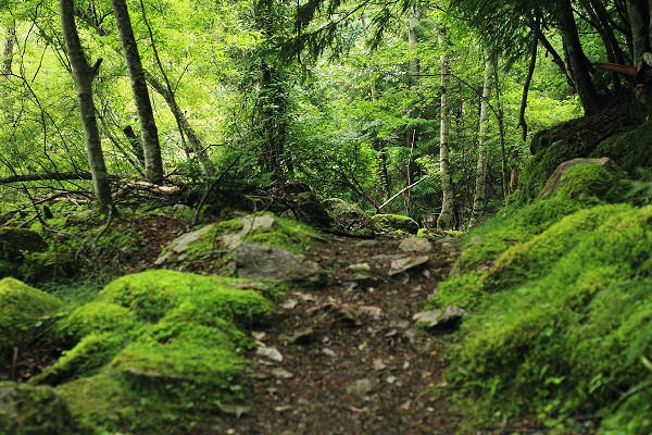 c0228945_620553.jpg