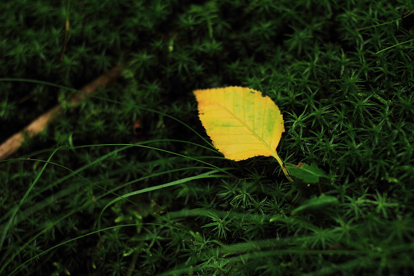 c0228945_6212920.jpg