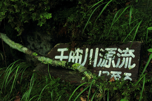 c0228945_623582.jpg