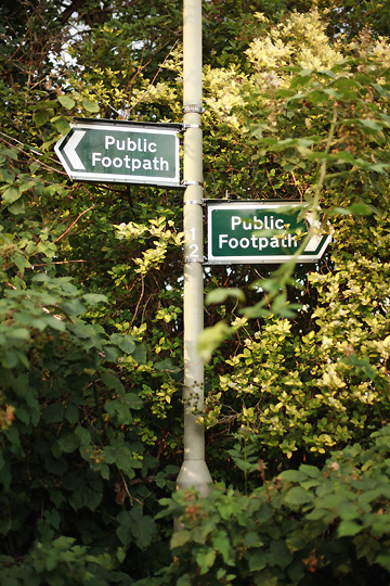 d0008146_294028.jpg