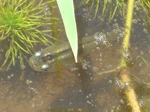 d0112350_17173330.jpg