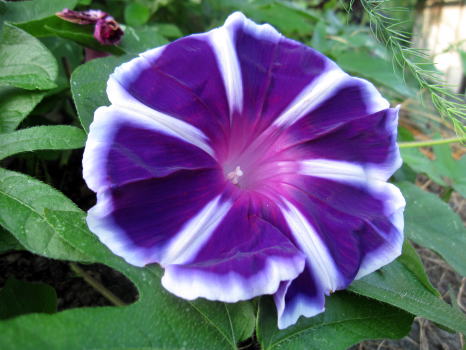 c0147952_21392142.jpg