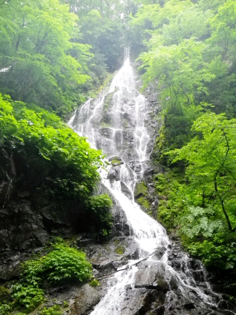 b0177355_17191145.jpg