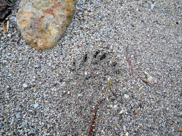 b0177355_1720559.jpg