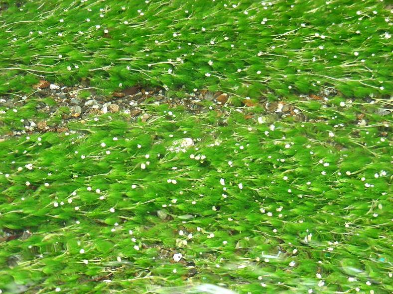 e0044657_2355940.jpg