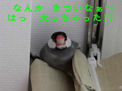 b0158061_21251061.jpg