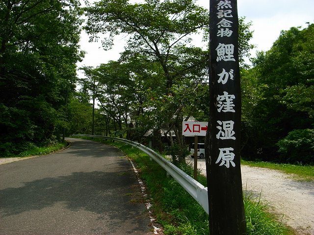 d0128465_9343390.jpg