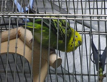 f0196665_23401237.jpg
