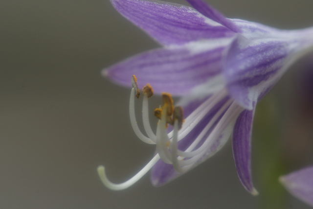 b0223668_912581.jpg