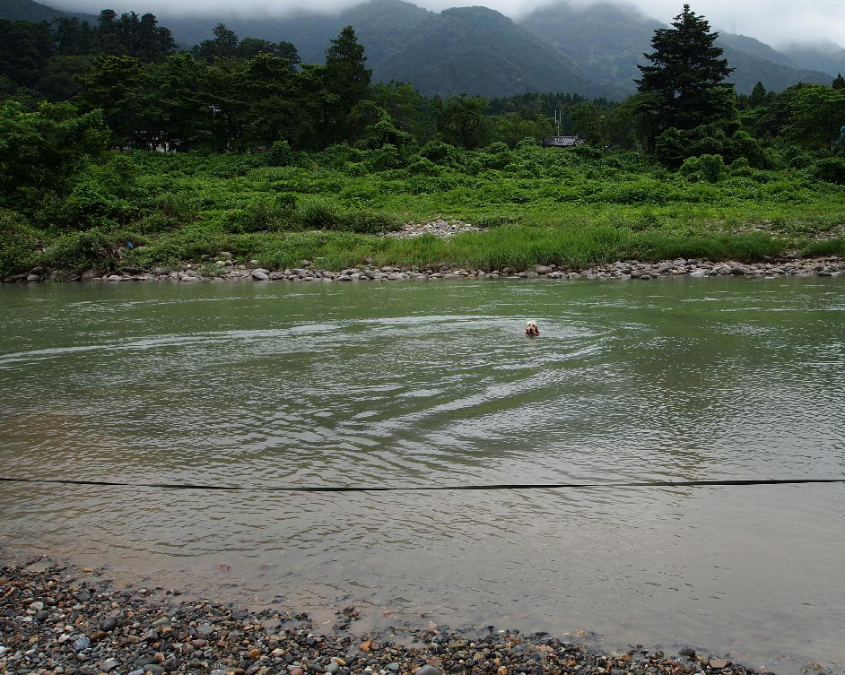 d0216270_2031622.jpg