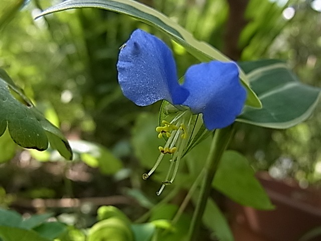 e0181373_20375958.jpg