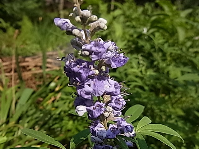 e0181373_20381973.jpg