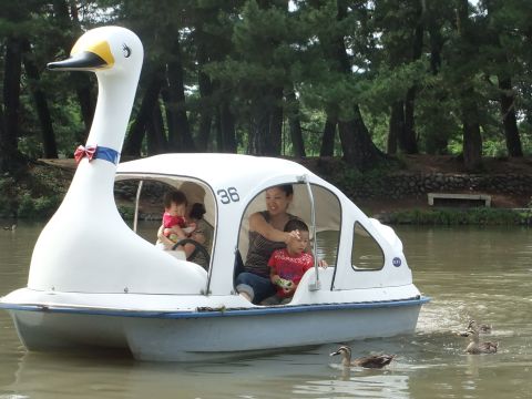 f0047773_2012949.jpg