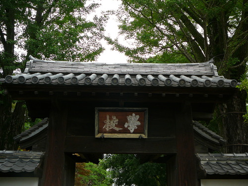 d0104974_17133041.jpg