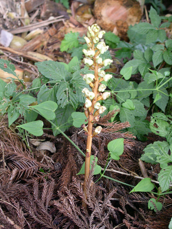 e0118274_2216272.jpg