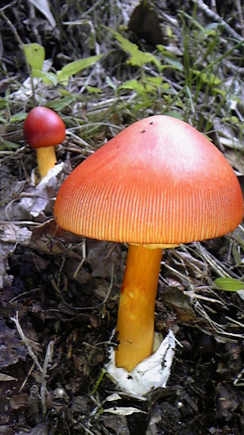 e0118274_22245036.jpg