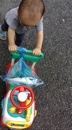 f0004180_014137.jpg