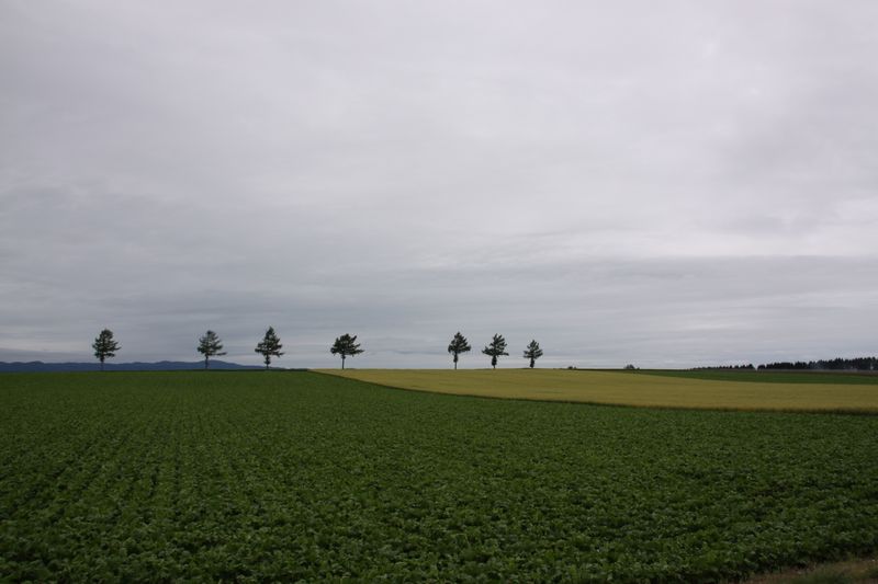 c0148781_22465759.jpg