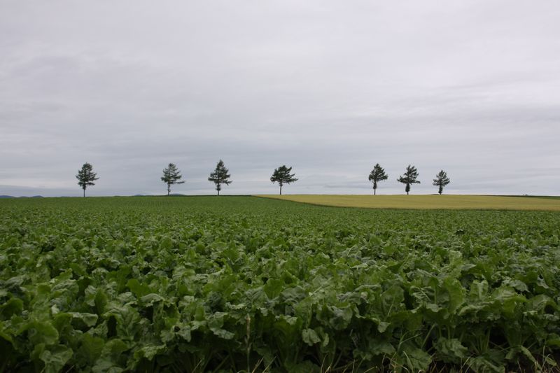 c0148781_22471626.jpg